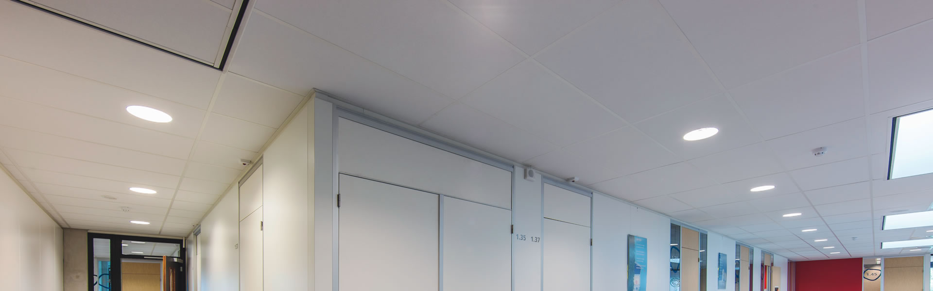 Rockfon Pacific Ceiling tile